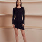 Fitted black mini dress with long sleeves and structured seam detailing.